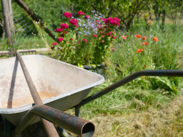 Gartenpflege im Sommer: Wie pflegt man seinen Garten?