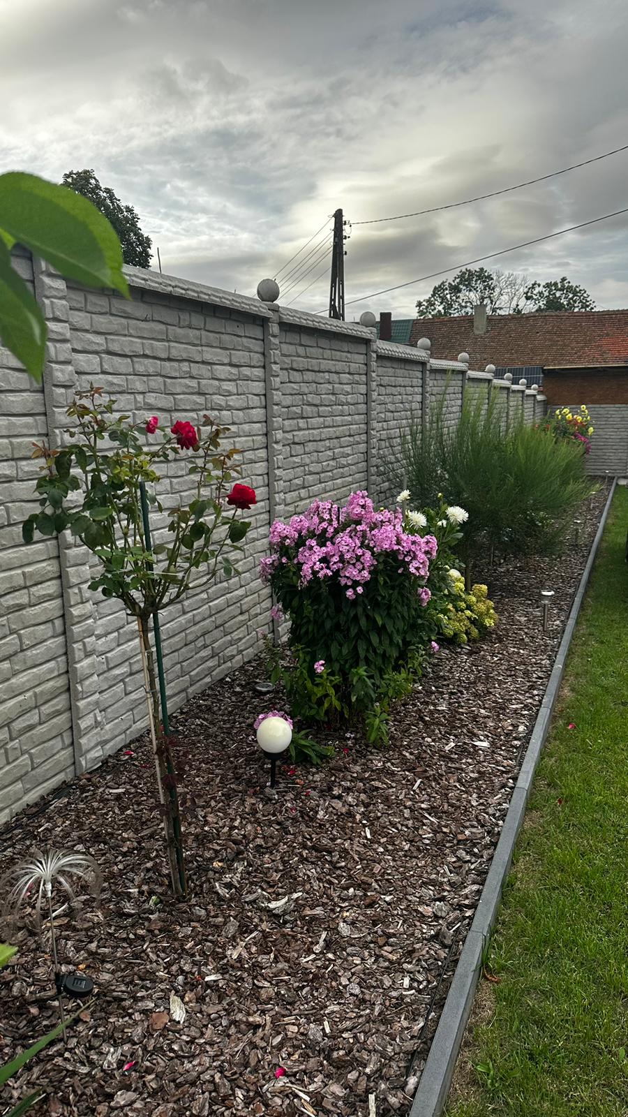 Ein grauer Betonzaun mit Ziegelsteinmuster begrenzt einen gepflegten Garten. Entlang des Zauns erstreckt sich ein schmales Blumenbeet mit Rindenmulch. Darin wachsen verschiedene Pflanzen, darunter ein Rosenstrauch mit roten Blüten und üppige lila Blumen. Im Vordergrund ist ein weißer Kugelleuchte zu sehen. Der Himmel im Hintergrund ist bewölkt, was dem Bild eine atmosphärische Stimmung verleiht.